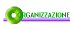 ORGANIZZAZIONE